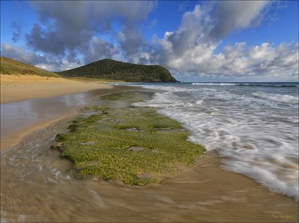 Blinky Beach - Lord Howe Island - NSW SQ (PBH4 00 11707)